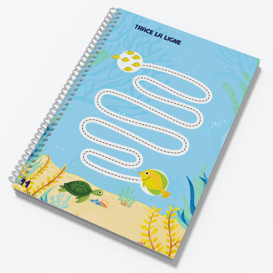 French Pen Control & Writing Activity Book