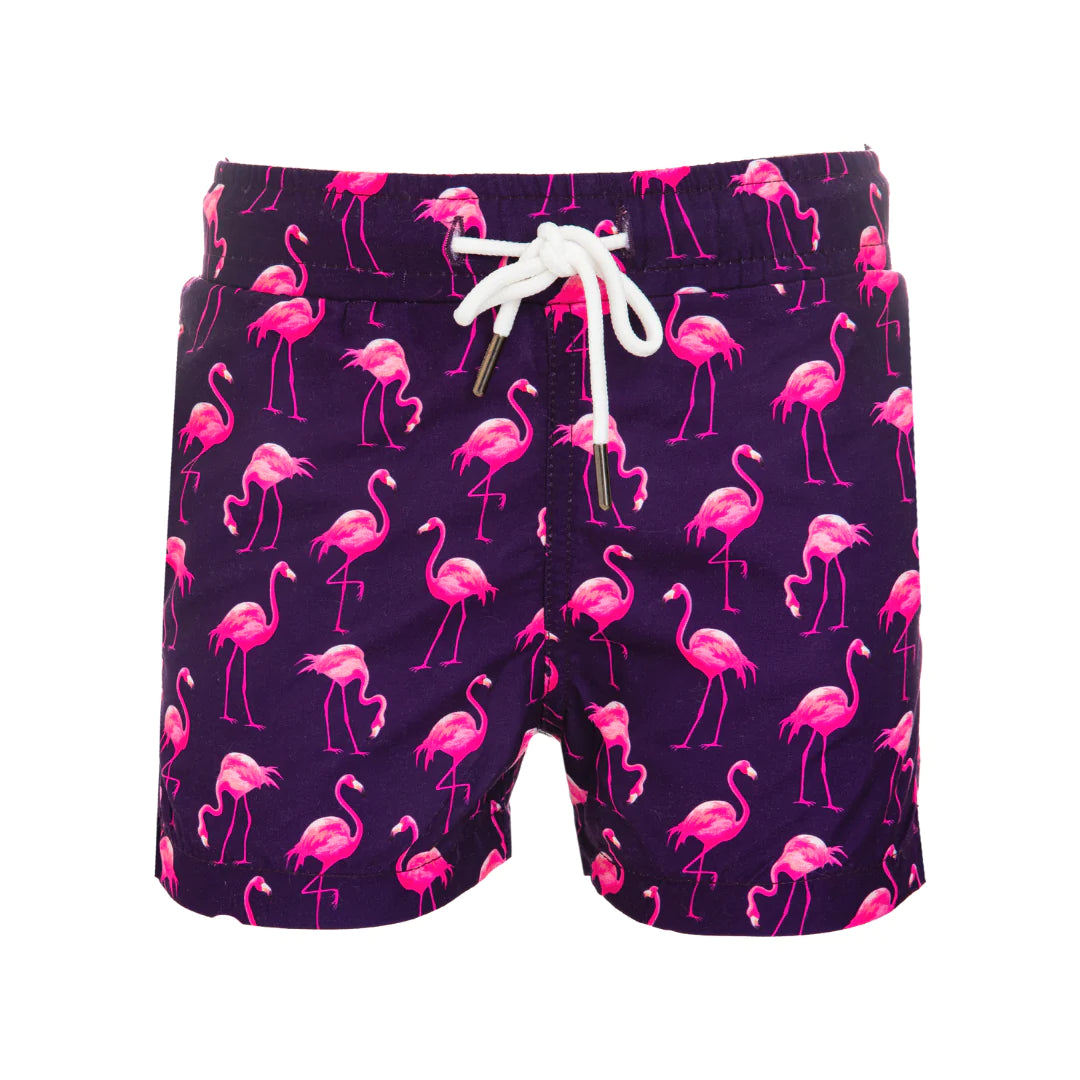 Flamingo Boys Swimsuit