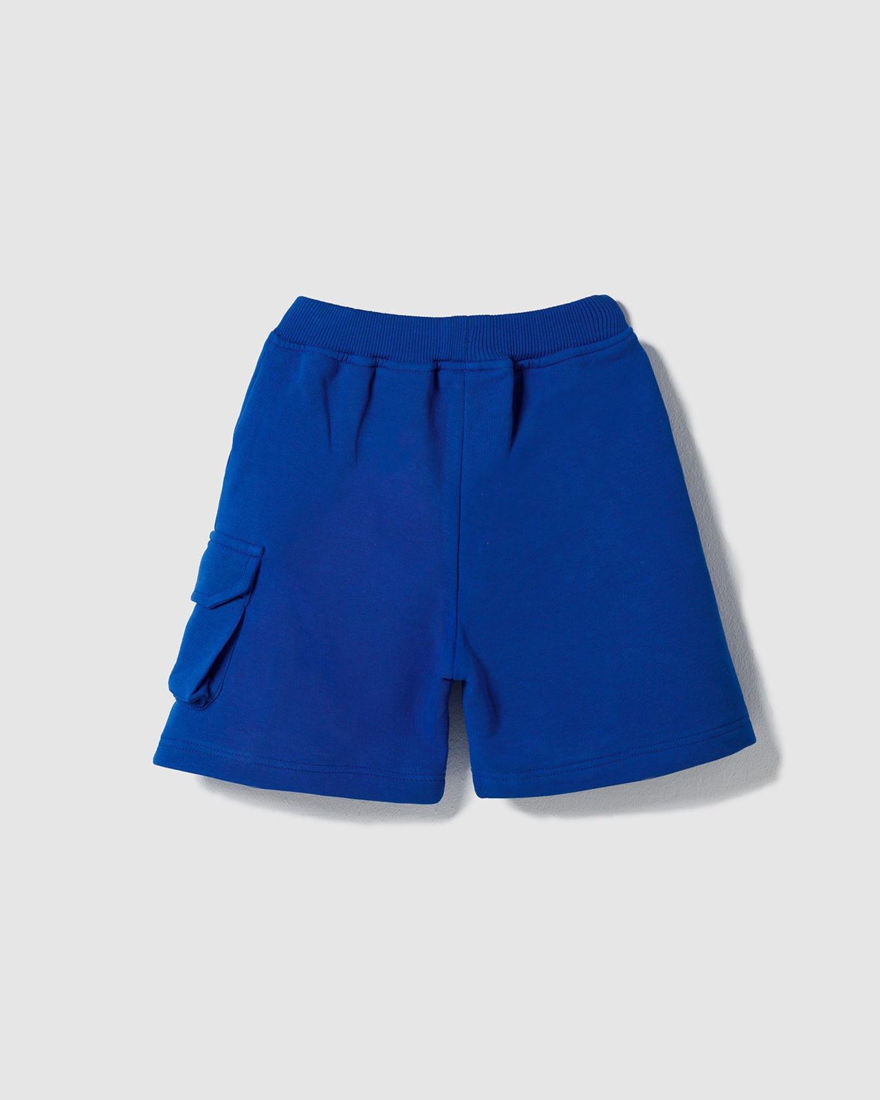 Cargo Blue Shorts