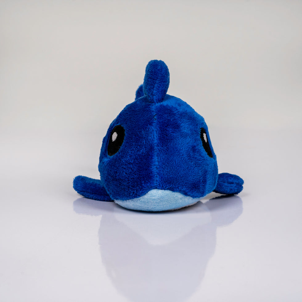 Fuzzy Wuzzy – The Blue Shark